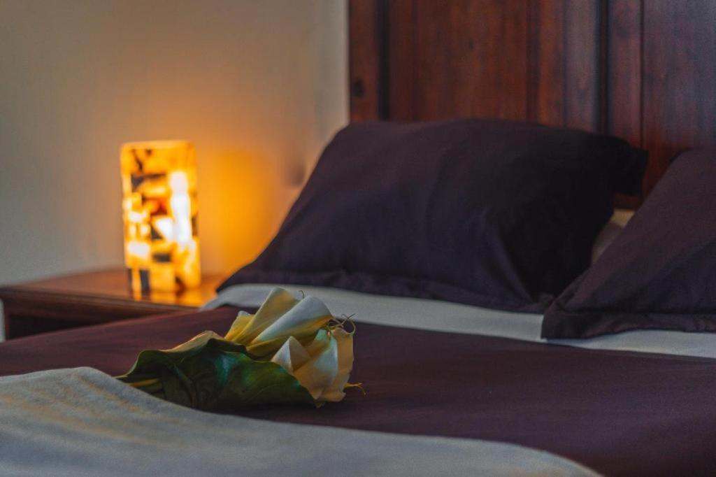 Cortijo La Casona & Bungalow Al Pie De La Montana ซานกริสโตบัล เด ลาสกาซาส ภายนอก รูปภาพ