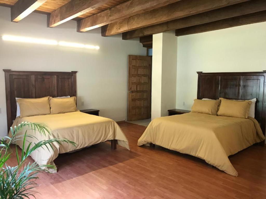 Cortijo La Casona & Bungalow Al Pie De La Montana ซานกริสโตบัล เด ลาสกาซาส ภายนอก รูปภาพ