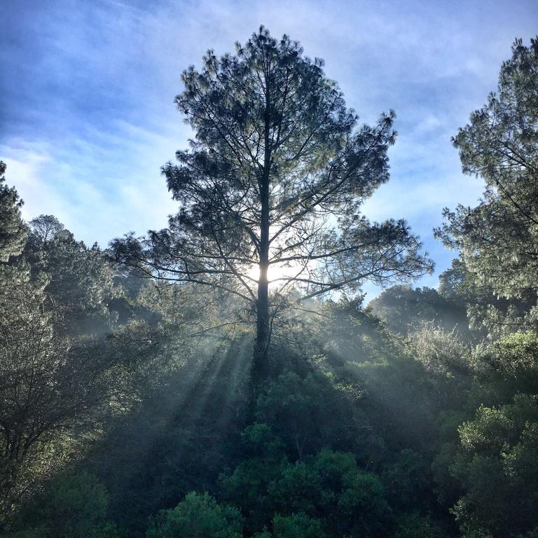 Cortijo La Casona & Bungalow Al Pie De La Montana ซานกริสโตบัล เด ลาสกาซาส ภายนอก รูปภาพ